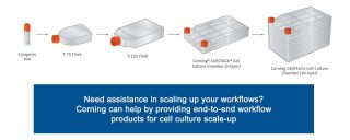 Adherent Culture Scale-up