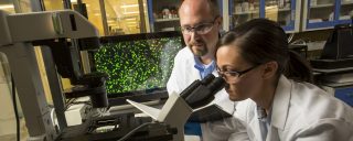 Woman, man in lab coats looking through microscope